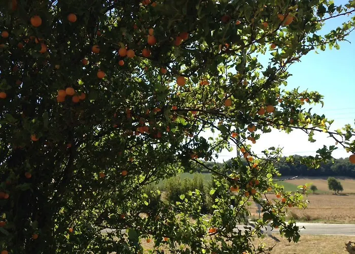 Σπίτι διακοπών Les Roulottes Du Lauragais
